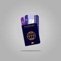 International passport and plane tickets