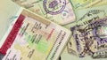 International passports with visas (USA, Egypt, Thailand and Shengen visas)