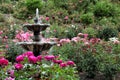 A fountain in the International Rose Test Garden in Portland Oregon. Royalty Free Stock Photo