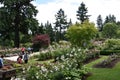 International Rose Test Garden in Portland, Oregon Royalty Free Stock Photo