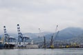 The international sea port of Novorossiysk. Port cranes and industrial objects. Marine Station.