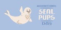 International seal pups protection day concept. Royalty Free Stock Photo