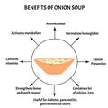 International Soup Day April 5th. Useful properties of onion soup. Infographics. Vector illustration on isolated