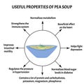 International Soup Day April 5th. Useful properties of pea soup. Infographics. Vector illustration on isolated