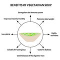 International Soup Day April 5th. Useful properties of vegetarian soup. Infographics. Vector illustration on isolated