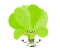 International spinach day. sorrel. Greens. Cheerful cute cartoon spinach character with eyes and hands Royalty Free Stock Photo