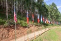 International Sport Event Country Flags Dozens