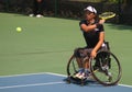 International tennis wheelchair championship