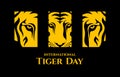 International Tiger day.