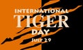 International Tiger Day on July 29. Orange background with tiger scratches on a contrasting background. Suitable for printing on