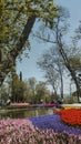 International Tulip Feast, Istanbul, Turkey