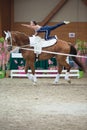 International Vaulting competition on June 16, 2017 in Pezinok, Slovakia Royalty Free Stock Photo