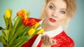 Pretty woman with red yellow tulips bunch Royalty Free Stock Photo