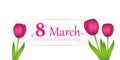 International womans day on 8th march white label with pink tulips