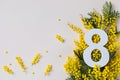 International Women Day on 8 March celebration with fresh spring mimosa flowers and number eight top view Royalty Free Stock Photo