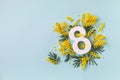 Women Day on 8 March celebration with fresh spring mimosa flowers and number eight top view. Beautiful holiday greeting Royalty Free Stock Photo