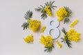 International Women Day on 8 March celebration with fresh spring mimosa flowers and number eight top view. Beautiful greeting card Royalty Free Stock Photo