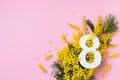 International Women Day on 8 March celebration with fresh spring mimosa flowers and number eight top view Royalty Free Stock Photo