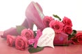 International Women`s Day, March 8, with pink high heels and roses. Royalty Free Stock Photo