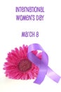 International Women`s Day pink gerbera with symbolic purple ribbon Royalty Free Stock Photo