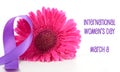 International Women`s Day pink gerbera with symbolic purple ribbon Royalty Free Stock Photo