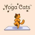 International yoga day. Cats yoga. Yoga pose and exercise. Colorful flat vector hand drawn illustartion