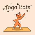 International yoga day. Cats yoga. Yoga pose and exercise. Colorful flat vector hand drawn illustartion
