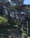 The internationally recognized peace symbol, at Buena Vista Park, 2,