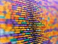 Internet app development and design. Close up of computer web page code inside of html file. Abstract information digital