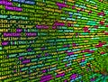 Internet app development and design. Web developer programmer monitor screen display. Computer program preview. Application web Royalty Free Stock Photo