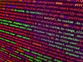 Internet app development and design. Web server data on a monitor. Web abstract programming and created virus on laptop screen. Royalty Free Stock Photo