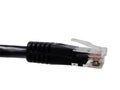 Internet cable-clipping path Royalty Free Stock Photo