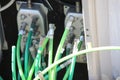 Internet and cable coax cables replaced by glass fiber to speed up connection in Gouda the Netherlands. Royalty Free Stock Photo