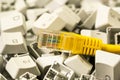 Internet cable RJ45 and keyboard keys close-up view Royalty Free Stock Photo