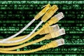 Internet cables Royalty Free Stock Photo
