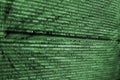 Computer screen with HTML code in green over bkack background. Royalty Free Stock Photo