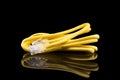 Internet data cable isolated on black background. Internet communication concept. Network internet yellow cable isolated over Royalty Free Stock Photo