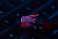 Internet lan cable on the keyboard. Internet protection and security, hacking Royalty Free Stock Photo
