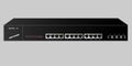 Carrier-class server for rack-mounting. The name and emblem are invented.