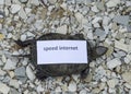 Internet speed. A bad internet symbol. Low download speed. Slow internet. Ordinary river tortoise of temperate latitudes. The tort