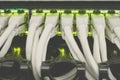 Internet switch with gigabit links is a close-up. The cables patch panel and network hub is in the server room data center. Many Royalty Free Stock Photo