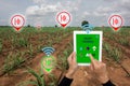 Internet of thingsagriculture concept,smart farming, smart agr