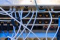Internet utp or network cables plugged in a router or switch at a tv production engine or box. Back view of a switch panel for Royalty Free Stock Photo