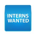Interns Wanted shiny blue square button Royalty Free Stock Photo
