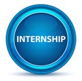 Internship Eyeball Blue Round Button