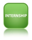 Internship special soft green square button