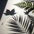 Interplay of light and shadow forms abstract shapes highlighting the Royalty Free Stock Photo