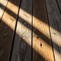Interplay of light and shadow highlights the natural patterns and Royalty Free Stock Photo
