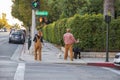 An interracial couple walking their dogs along the sidewalk surrounded by lush green trees and plants with cars parked