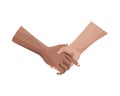 Interracial handshake human isolated icon Royalty Free Stock Photo